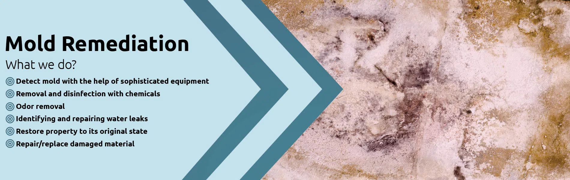 #bslide1 logo-image - banner-1